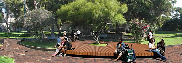 vivero01.jpg