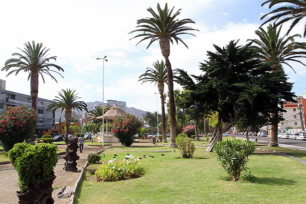 areas_verdes01.jpg