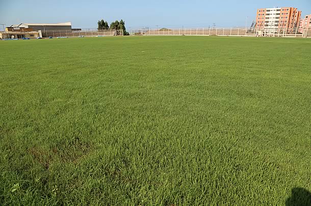 complejo_deportivo01.jpg