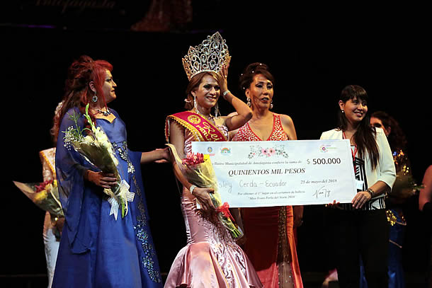 miss_trans2018.jpg
