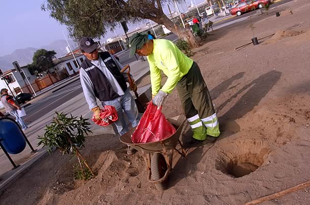 licitacion_areas_verdes01.jpg